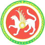 Герб республики Татастан